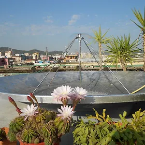 Auberge de jeunesse Albania, Tirana